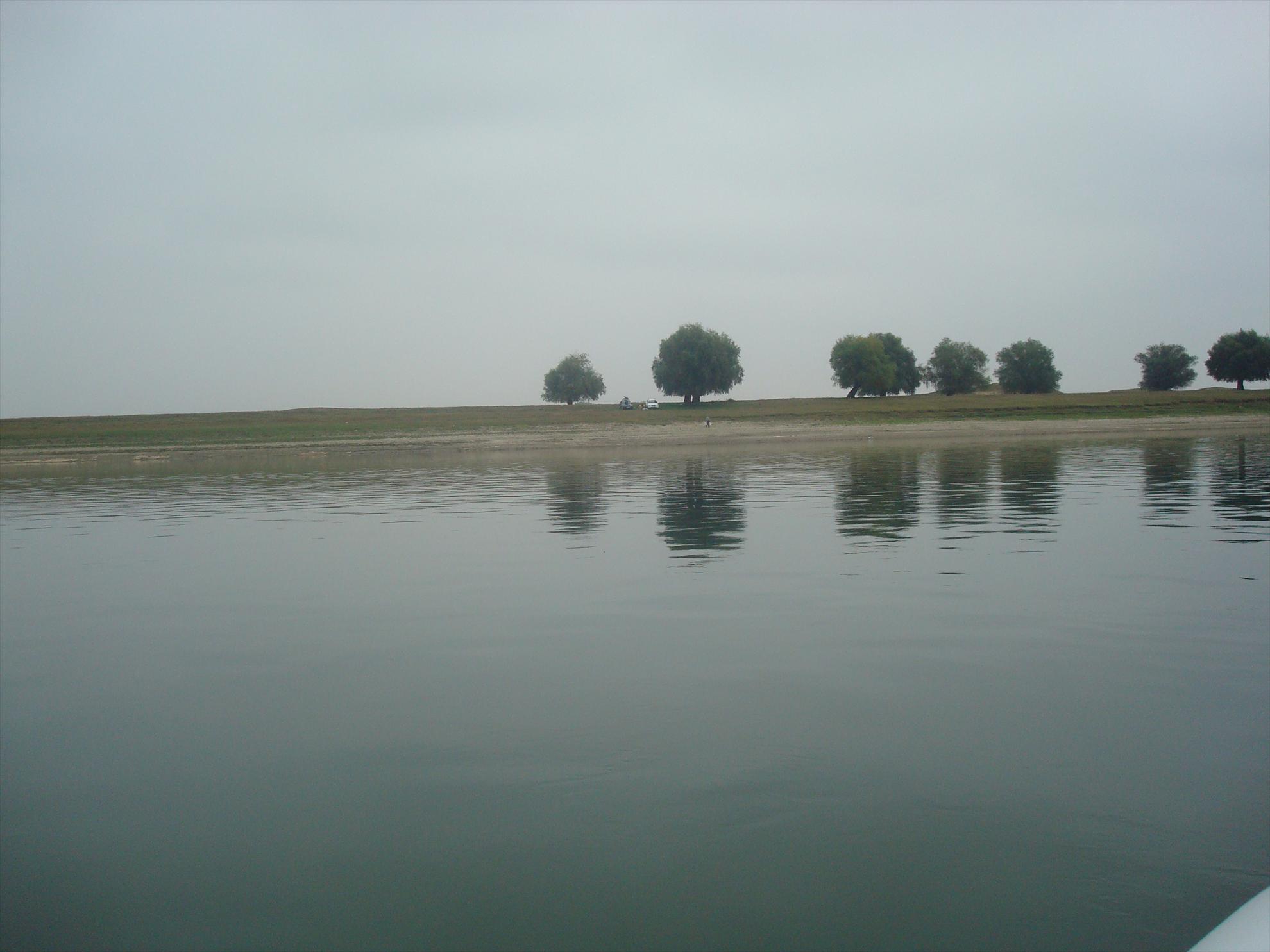 pescuit la Dunare - dsc04660.JPG